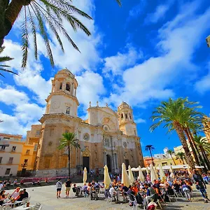 https://apartamentos-patagonia-sur.es-andalucia.com